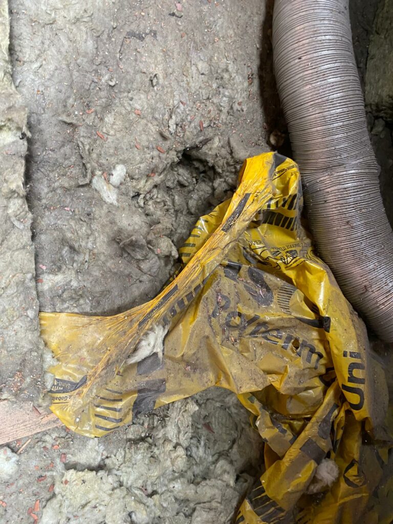 Zanieczyszczona i przemieszczona wełna mineralna - kuna na poddaszu - realizacja Thermocomplex